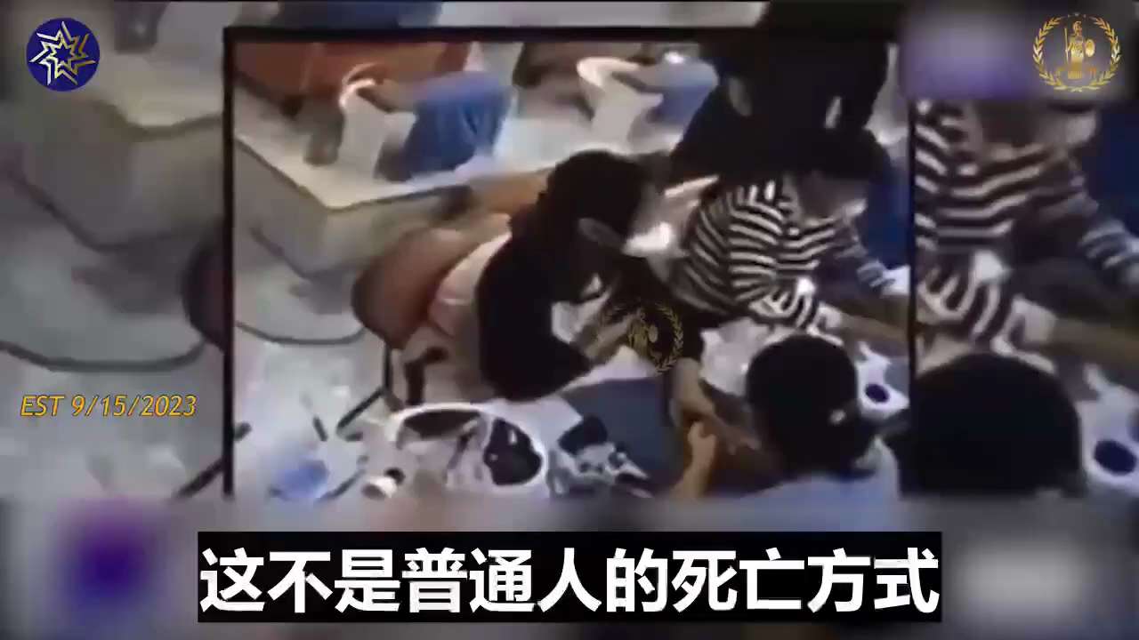 顶级举报人瑞玛·莱博博士：世界卫生组织=“世界大屠杀组织”
Top Whistleblower Dr. Rima Laibow: WHO="World Holocaust Organization"
...