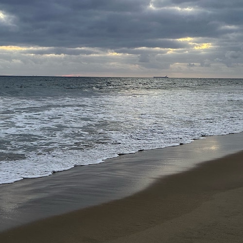 Visit StormB's profile on GETTR. View their posts, photos, videos, and connect with them on the social platform.