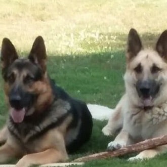 Visit GMHHEARD's profile on GETTR. View their posts, photos, videos, and connect with them on the social platform.