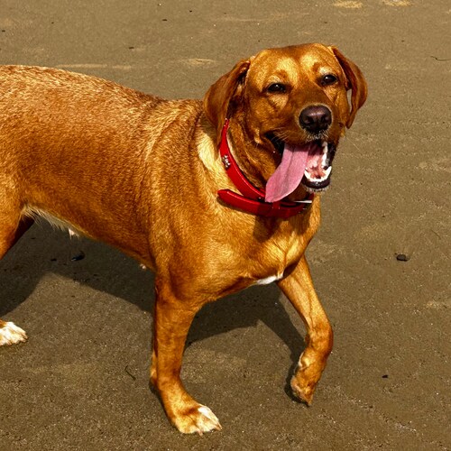 Unjabbed

学院院长