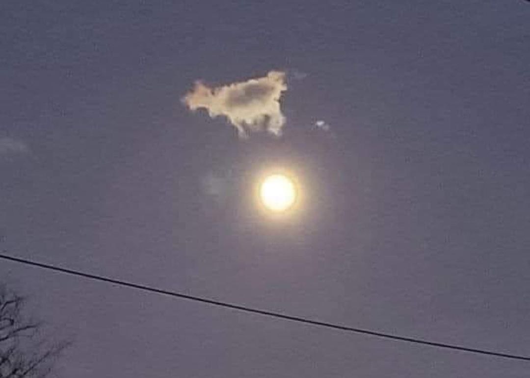 We're in trouble now! It's official the cow has jumped over the moon 🤔