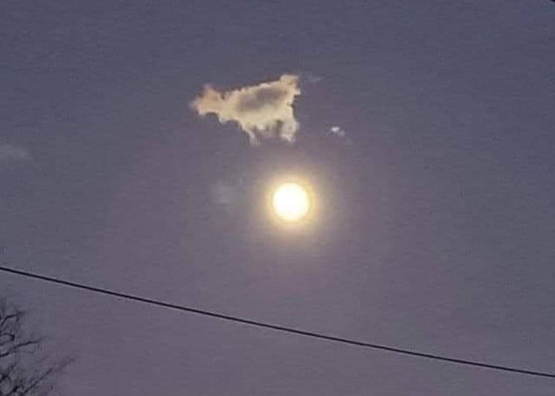 We're in trouble now! It's official the cow has jumped over the moon 🤔