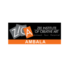 Zica Ambala is a premier institute in Ambala, Haryana, offering diploma courses in animation, graphic designing, web des...