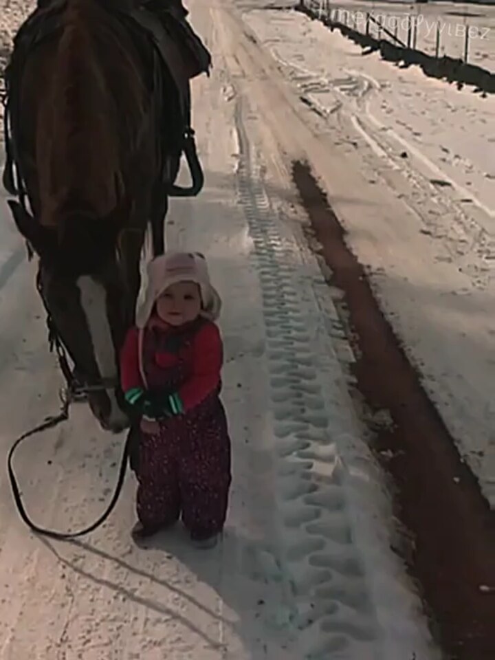 View ☦️🦁⚔ 🆃🆁🅴🅱 ⚔🩸's post on GETTR. Join the discussion, share your thoughts, and connect with the community.