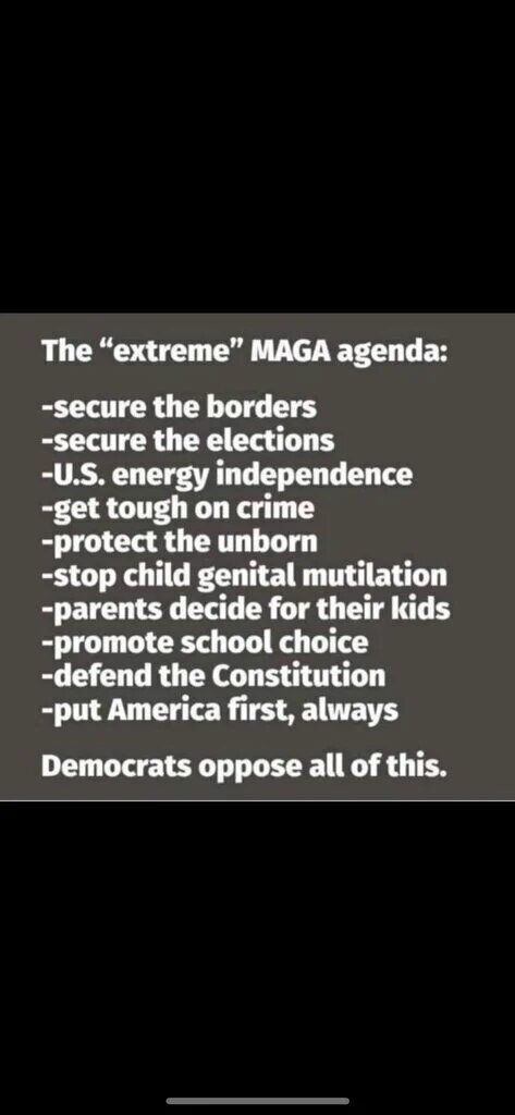 These are our core principles

Our movement isn’t about Trump
We were here before Trump and we will ...