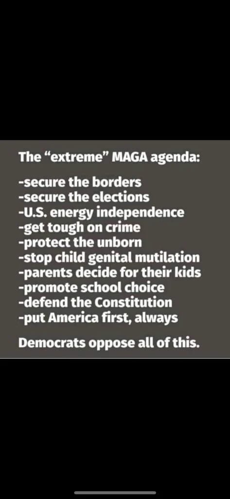 These are our core principles

Our movement isn’t about Trump
We were here before Trump and we will be here after Trump
Trump is the enemy of our enemy and