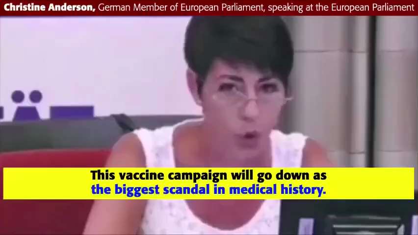 Christine Anderson sums the Plandemic up.