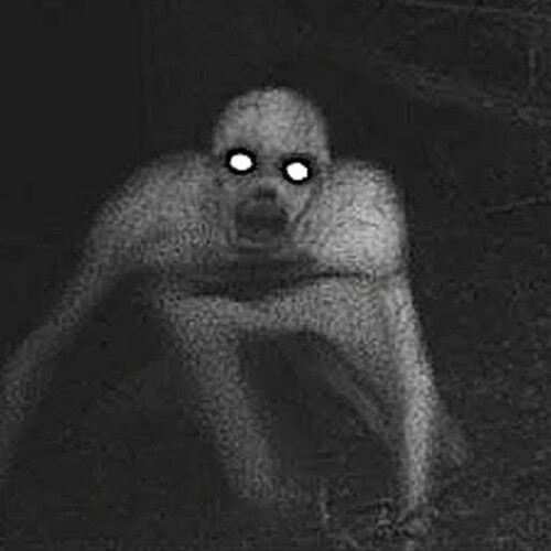 strange, unexplained, and paranormal videos