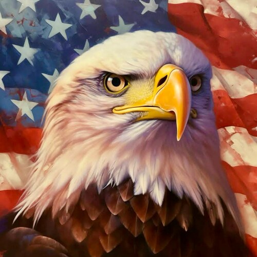 Singer, songwriter, guitarist and America First Patriot