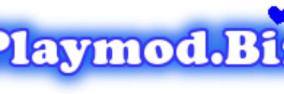 playmodsbiz