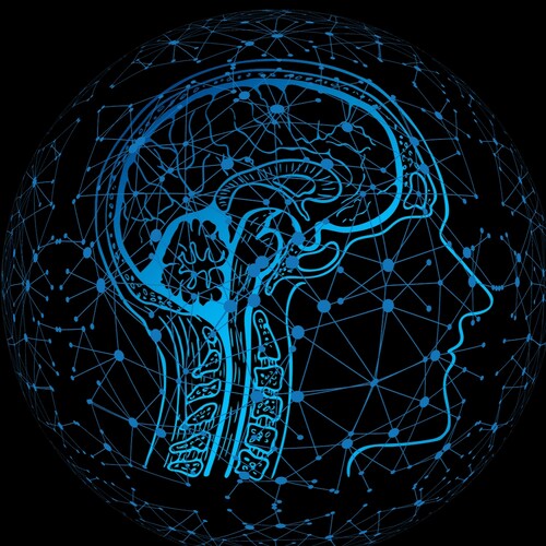 Day Star Group (Pty) Ltd is focused on bridging the “knowledge gap” in terms of data and AI empowerment.