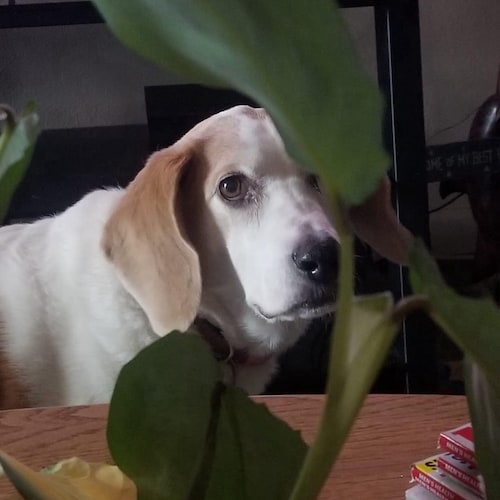 Visit ker2smile's profile on GETTR. View their posts, photos, videos, and connect with them on the social platform.