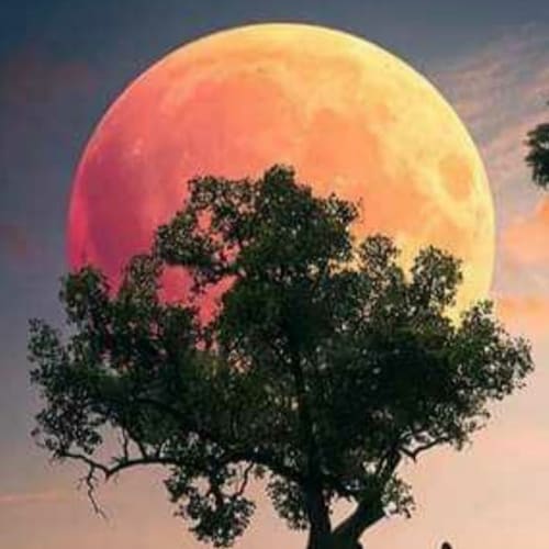 Visit Irfan_ali_526's profile on GETTR. View their posts, photos, videos, and connect with them on the social platform.