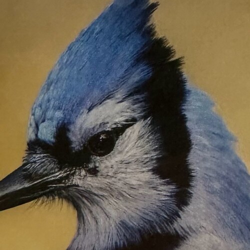 Old School American that loves Freedom!