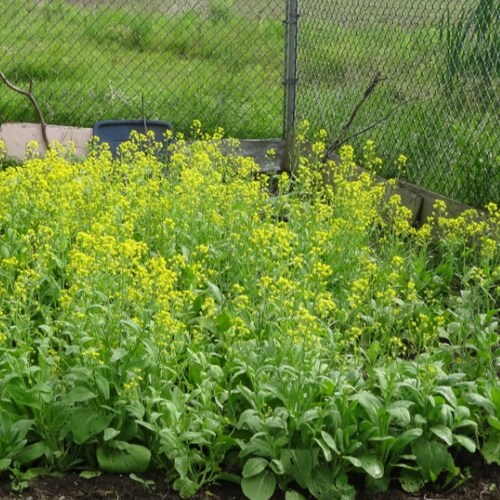 Visit brandysalinas's profile on GETTR. View their posts, photos, videos, and connect with them on the social platform.