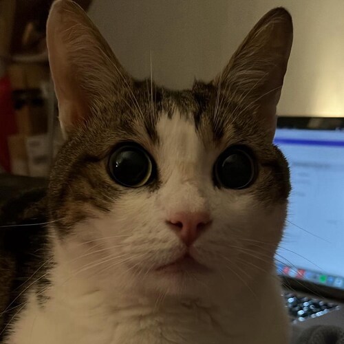 Can't say much, see me for who I am 💯