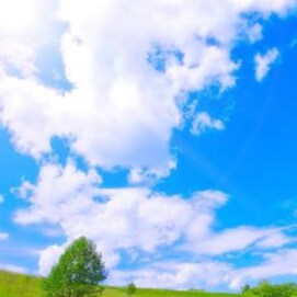 Visit wrighteveline's profile on GETTR. View their posts, photos, videos, and connect with them on the social platform.