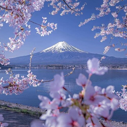 Visit giageer's profile on GETTR. View their posts, photos, videos, and connect with them on the social platform.