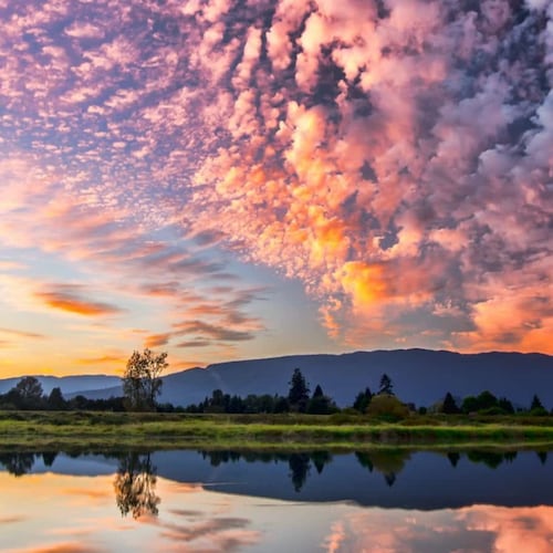 Visit LindaJeremy's profile on GETTR. View their posts, photos, videos, and connect with them on the social platform.