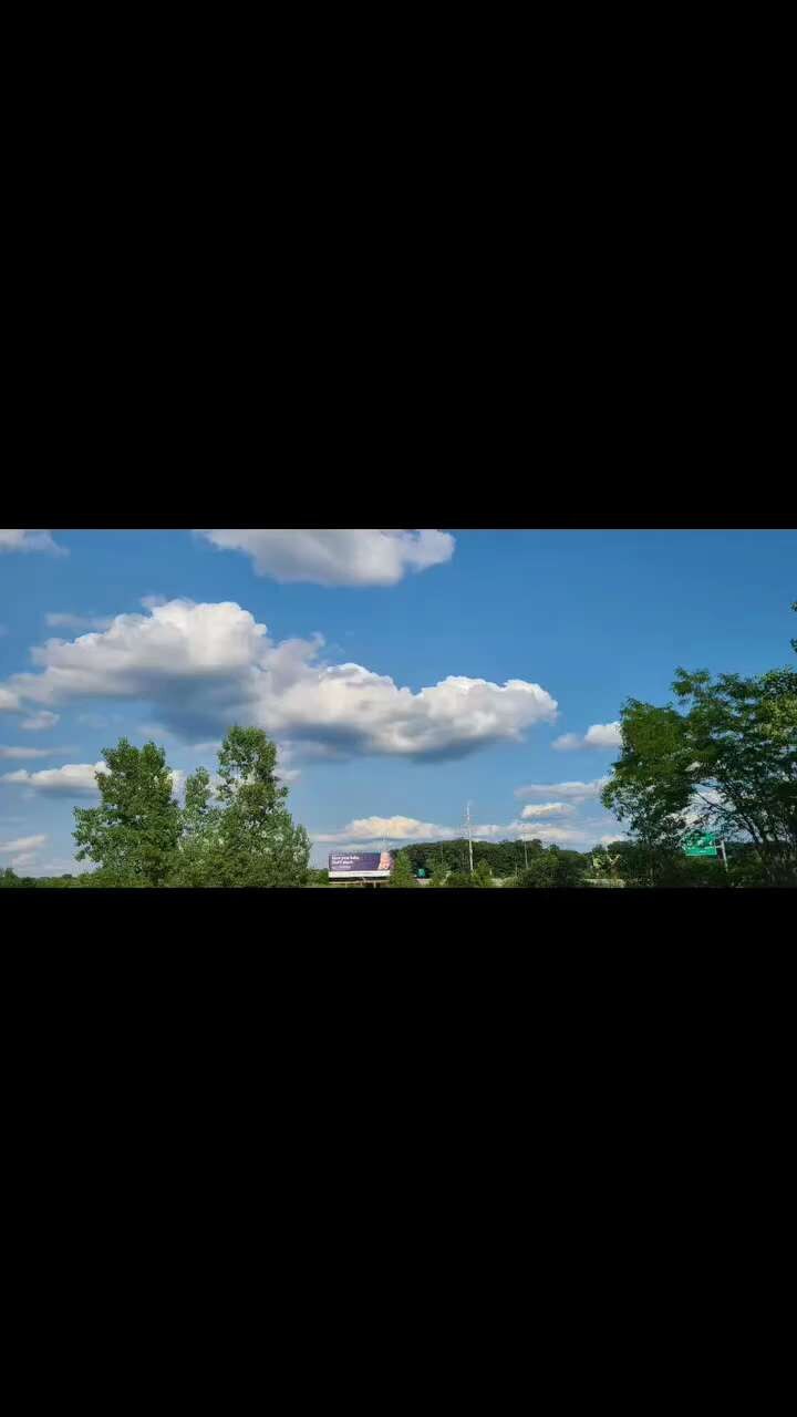 I follow birds and they lead me where I need to go. On this particular day, I knew for sure they wer...