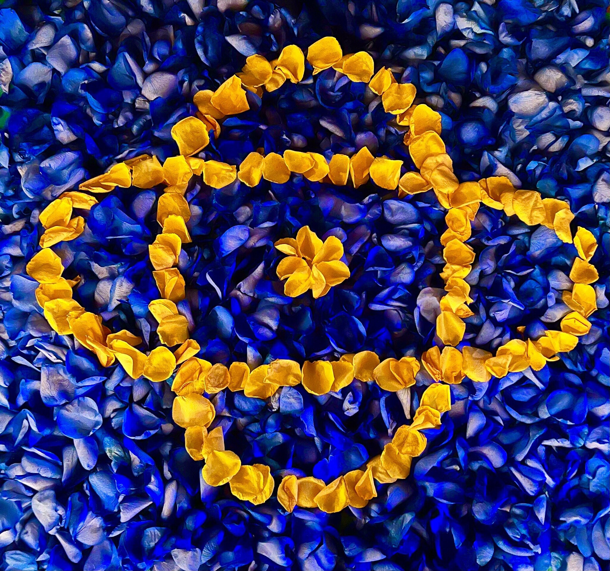 今天对NFSC有了更清晰的理解，为什么叫New Federal State of China，State不加s，代表这是中国的一个联邦州，重点在New，也就是中国的一个新联邦，类似台湾、香港等，而不是...