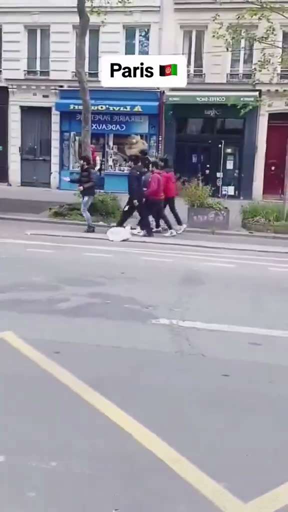 Afghan immigrants are currently destroying Paris with complete immunity from the government. 

This ...