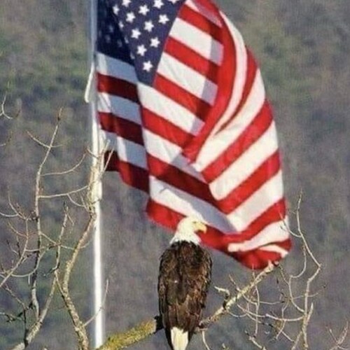 God fearing, American born and breed. Daughter of a US Army Soilder🇺🇸