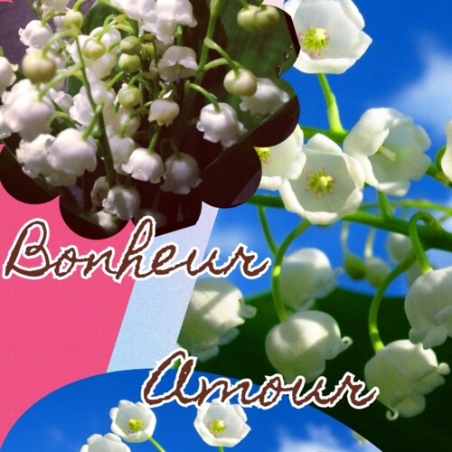 Quand l'injustice devient loi, la résistance est obligatoire