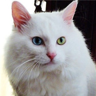 Visit juliesmithko's profile on GETTR. View their posts, photos, videos, and connect with them on the social platform.