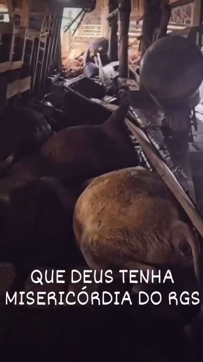 Agora que a água baixou é que se pode ver o tamanho da tragédia !  Muito triste... 😥 

