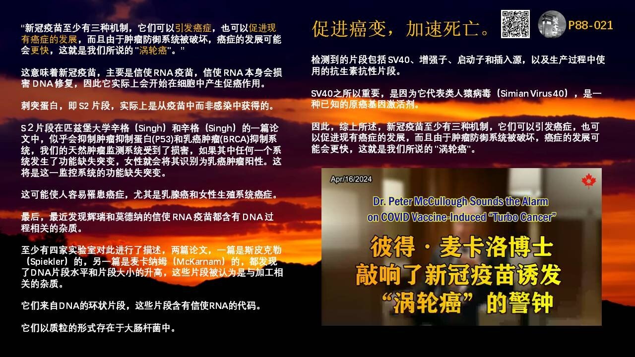 新冠疫苗促进癌变，加速死亡

#麦卡洛博士： #新冠疫苗至少有三种机制，它们可以 #引发癌症，也可以促进现有癌症的发展，而且由于 #肿瘤防御系统被破坏，癌症的发展可能会更快，这就是我们所说的 " #涡轮癌"。”

👉这意味着 #新冠疫苗，主要是 #信使RNA疫苗，信使 RNA 本身会损害 DNA 修复，因此它实际上会开始在细胞中产生促癌作用

👉#刺突蛋白，即 S2 片段，实际上是从疫苗中而非感染中获得的。S２片段在 #匹兹堡大学辛格（Singh）和辛格（Singh）的一篇论文中，似乎会抑制肿瘤抑制蛋白(P53)和乳癌肿瘤(BRCA)抑制系统，我们的 #天然肿瘤监测系统受到了损害，如果其中任何一个系统发生了功能缺失突变，女性就会将其识别为 #乳癌肿瘤阳性。这将是这一监控系统的功能缺失突变。这可能使人容易罹患癌症，尤其是 #乳腺癌和女性生殖系统癌症

👉最后，最近发现 #辉瑞和莫德纳的信使RNA疫苗都含有DNA过程相关的杂质

至少有四家实验室对此进行了描述，两篇论文，一篇是 #斯皮克勒（ #Spiekler）的，另一篇是 #麦卡纳姆（ #McKarnam）的，都发现了DNA片段水平和片段大小的升高，这些片段被认为是与加工相关的杂质。它们来自DNA的环状片段，这些片段含有信使RNA的代码。它们以质粒的形式存在于 #大肠杆菌 中

检测到的片段包括 SV40、增强子、启动子和插入源，以及生产过程中使用的抗生素抗性片段

#SV40 之所以重要，是因为它代表 #类人猿病毒（Simian Virus 40），是一种已知的 #原癌基因激活剂
节目视频音频PPThttps://mega.nz/folder/2CRx0ILS#-9wreiSXWIQBzbWhze_DbQ
#盘古聊天 
#人类无法阻挡的死亡海啸
#备药、排毒，认知决定存亡
