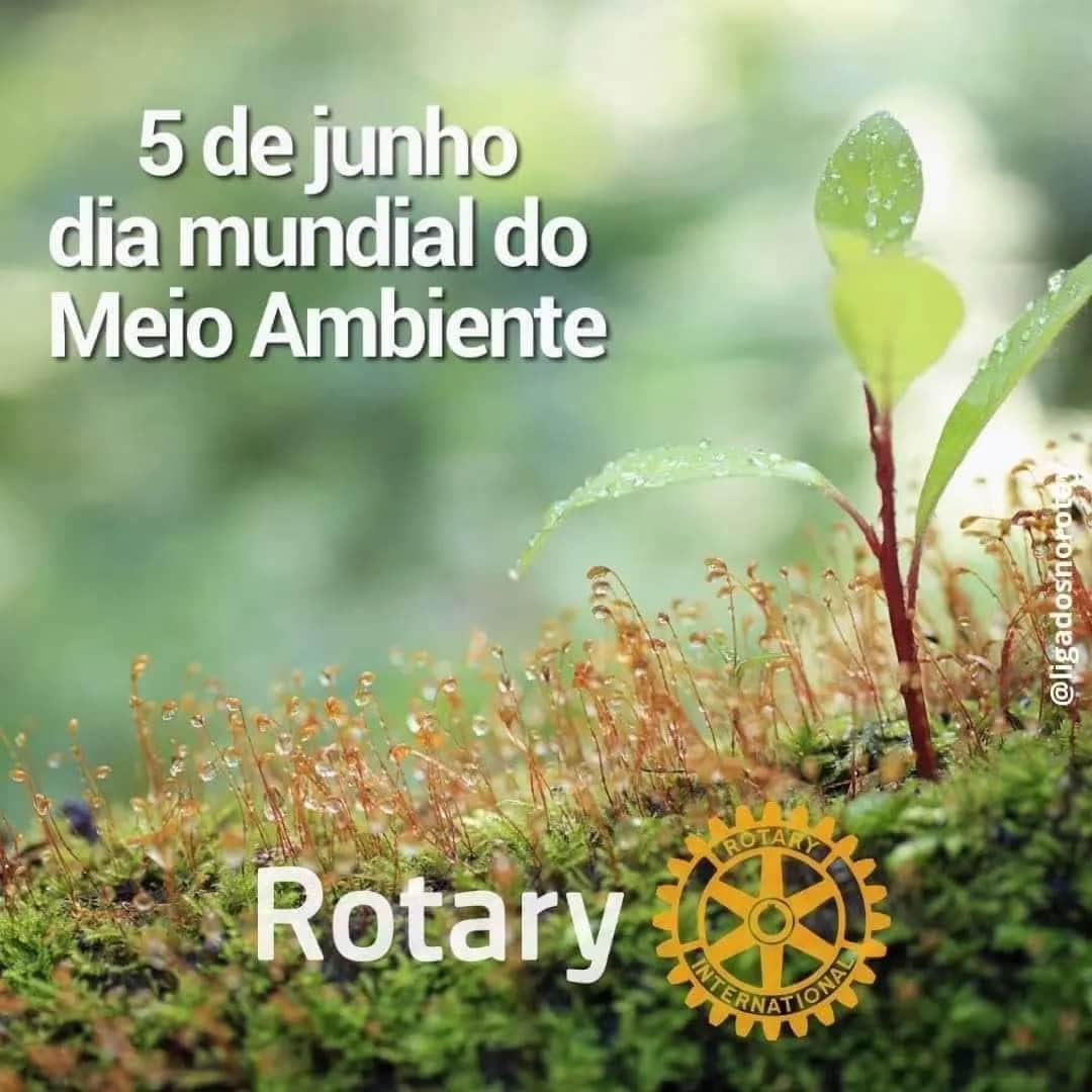 Neste Dia Mundial Do Meio Ambiente, estamos discutindo a #GeraçãoRestauração  Quer um exemplo de res...