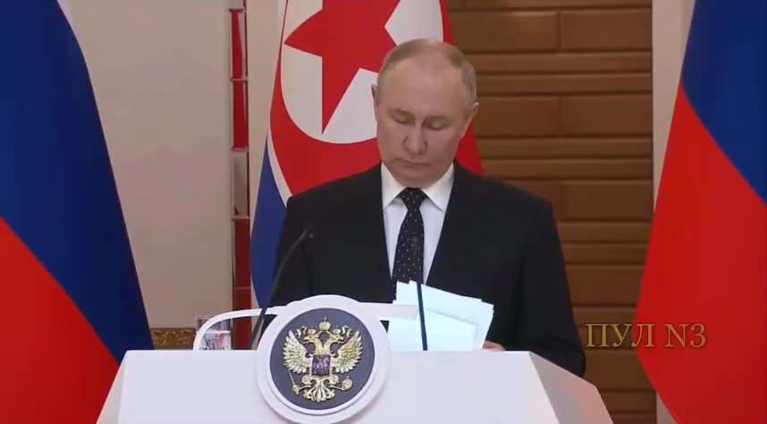 Allies.  
Kim Jong-un: 
"Relations between our two countries have risen to a new, high level of allied relations.  A legal basis has been laid with the help of which it has become possible to implement the grandiose plan of the leadership of the two countries and our peoples - to reliably protect peace and security in the region and the world, to build strong states in accordance with the common interests of the DPRK and Russia.  Today, an anchor was raised at this place and the ceremonial start of allied relations between the DPRK and Russia was announced." 

https://x.com/vicktop55/status/1803498741535502595?t=tkPgsAHuZbXKiX5mxPRsPw&s=19