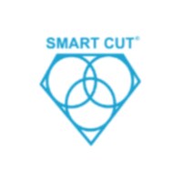 SMART CUT delivers precision diamond slicing, dicing, and drilling processing solutions with advanced technology for div...