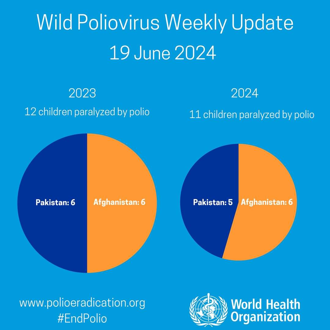 Atualização semanal de casos de poliovírus selvagem da OMS: Um novo caso no Afeganistão.
(Dados de 1...