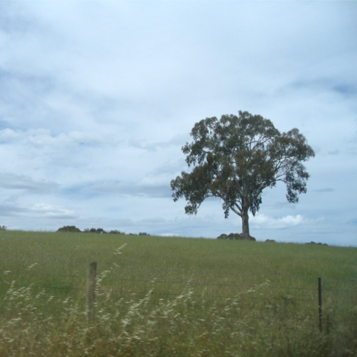 Visit 思乡油饼's profile on GETTR. View their posts, photos, videos, and connect with them on the social platform.