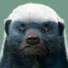 高，实在是高！赤裸裸揭示你们架空长岛、控制联盟的野心
