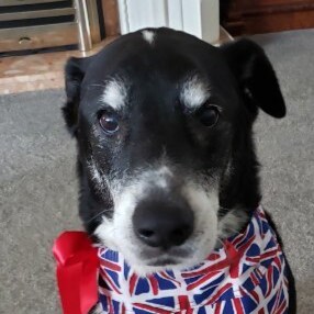 Never put off till tomorrow what may be done the day after tomorrow just as well.