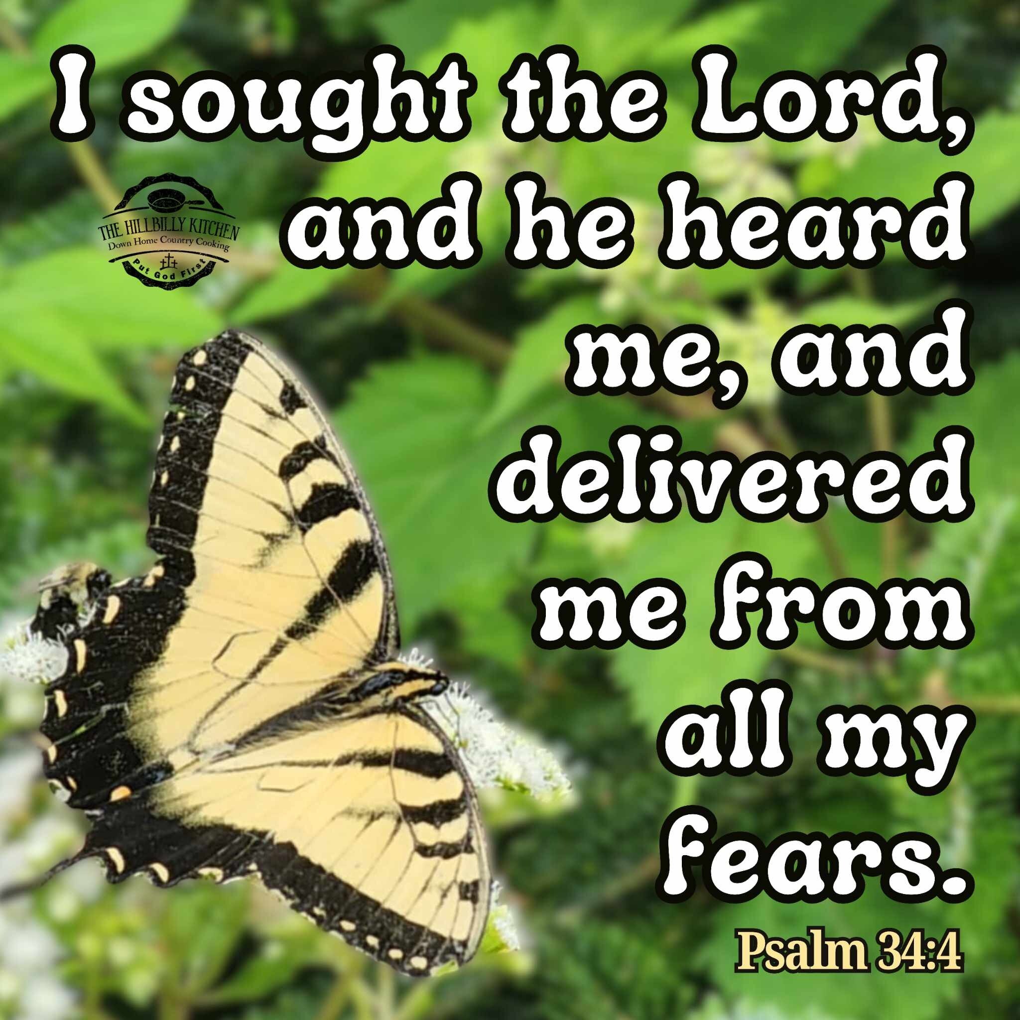 View BeckyWalker@TheHillbillyKitchen's post on GETTR. Join the discussion, share your thoughts, and connect with the community.