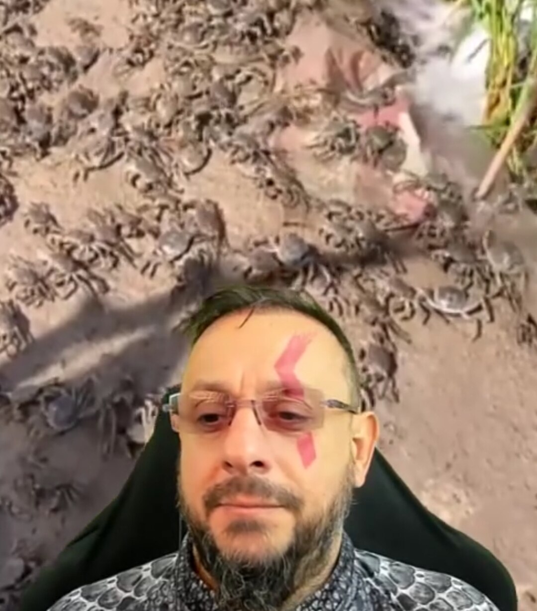 Já pensou em cultivar arroz e, no mesmo local criar peixes, caranguejos e aves?

Neste vídeo divulga...