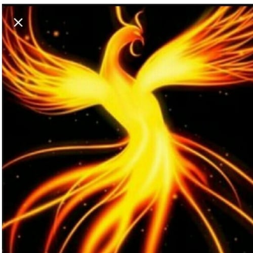 take down the ccp! 2024destroy Chinese communist party
推特號
https://tinyurl.com/y5fymve3