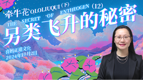 2024年10月02日：牵牛花 Ololiuqui（下） 另类飞升的秘密 The Secret of Entheogen（12） - #喜妈客厅 #喜妈正道文化