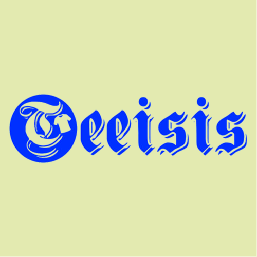 Teeisis offers high-quality T-shirts, Hoodies 3D, and Hawaiian shirts with stunning prints for every occasion. Free ship...