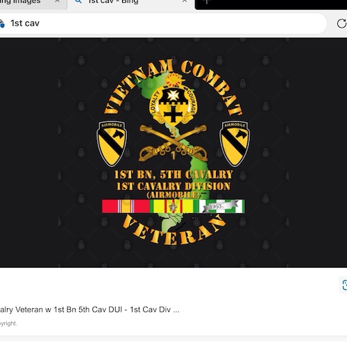 Vietnam Vet