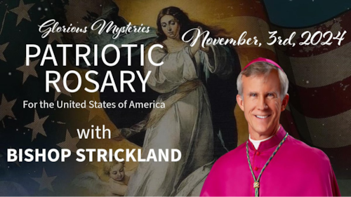 FINAL PATRIOTIC ROSARY - Bishop Joseph Strickland