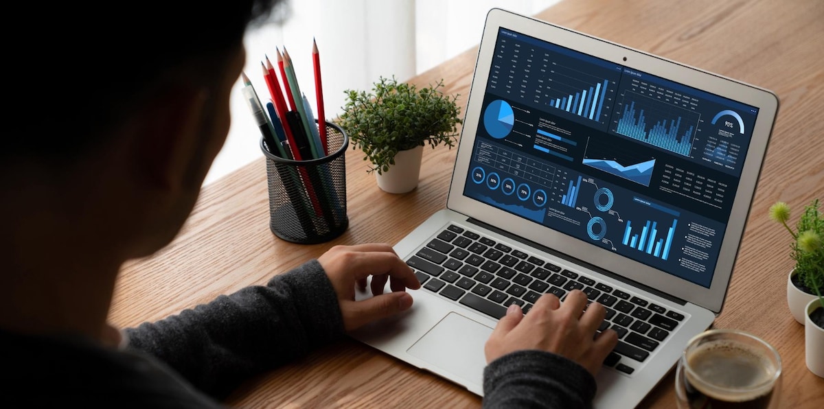 A Power BI Professional specializes in leveraging Microsoft Power BI to create interactive reports a...