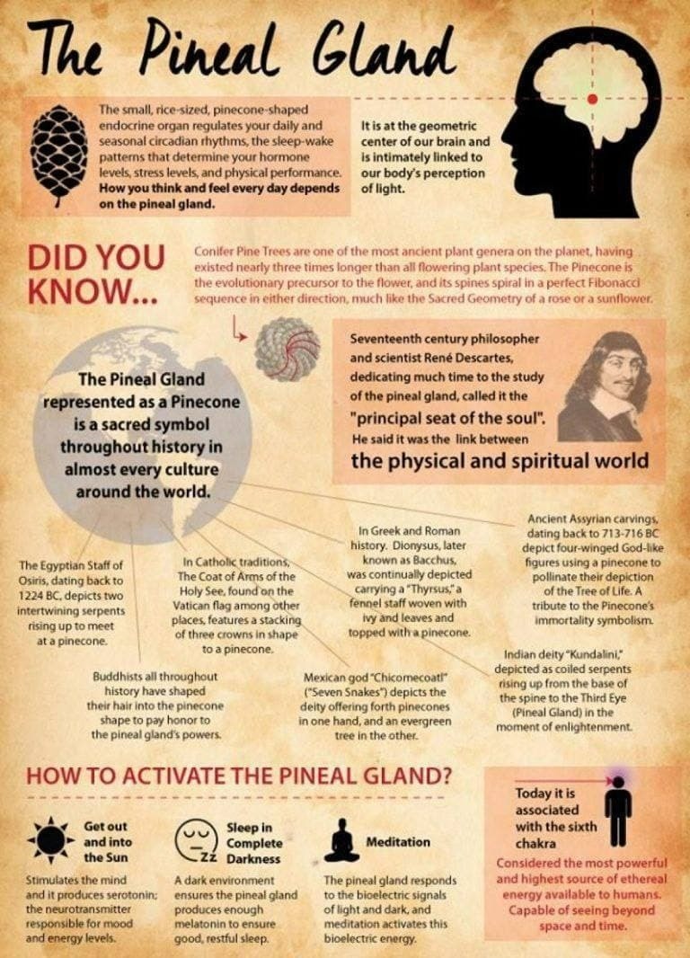 The Pineal Gland: Unlock Your Sixth Sense 🌌
Known as the "third eye," the pineal gland is a small yet powerful part of the brain, considered a sixth sense in spiritual science. It produces melatonin and responds to light, acting as a biological clock that influences our sleep and consciousness.
The ancient Egyptians revered this gland, seeing it as a gateway to universal awareness. They noticed a resemblance between the pineal gland and the Eye of Horus, believing its activation could unlock intuition, clarity, love, and even abundance.
With a simple 30-second ritual, many claim to "open" this gland and experience positive life changes.
🌠 Ready to learn more? Watch the video below and discover this transformative ritual! 👇👇
https://rebrand.ly/-Pineal-XT-
