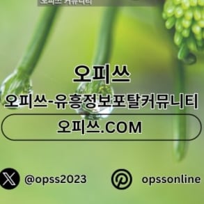 청주OP: 청주 지역의 오피 서비스, 오피.CLUB을 통한 청주 오피 정보 제공.