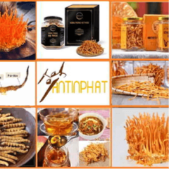 101 Hướng Dẫn Chi Tiết Cách Gửi Yến Sào đi Mỹ An Toàn|An Tin Phat
Gửi yến sào đi Mỹ là một dịch vụ khó và không hề dễ d...