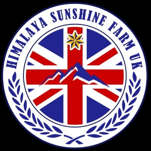 https://discord.gg/2P8JPBWNpW

https://x.com/sunshinefarmuk?s=11